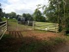 Hedge was dug out to make wider entrance to Marches Alpacas.  New gate and post and rail installed.