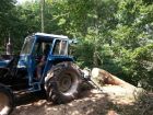 Hardwood thinning, winching ash tree up steep incline