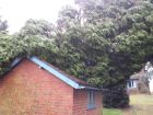 Same garden as previous photo.   Another windblown tree had fallen across pump house