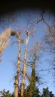 As above