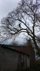 As above