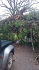 Emergency call out one morning at 6.00am.  An Oak tree had fallen on a local farmer&#039;s boiler house causing a lot of damage and trapping the pet cat