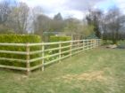 Post &amp; rail fencing