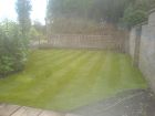 Newly laid turf and fence/gate