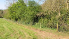 stock fencing